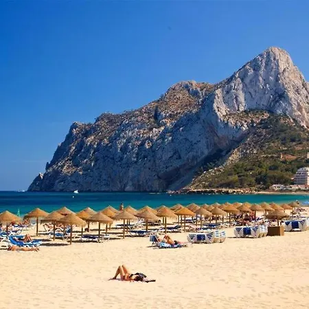 Sea View Blue Monkey Ifach